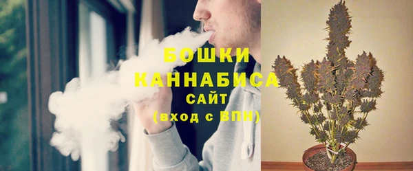 сатива Верея
