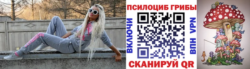 Галлюциногенные грибы Psilocybine cubensis  Бор 