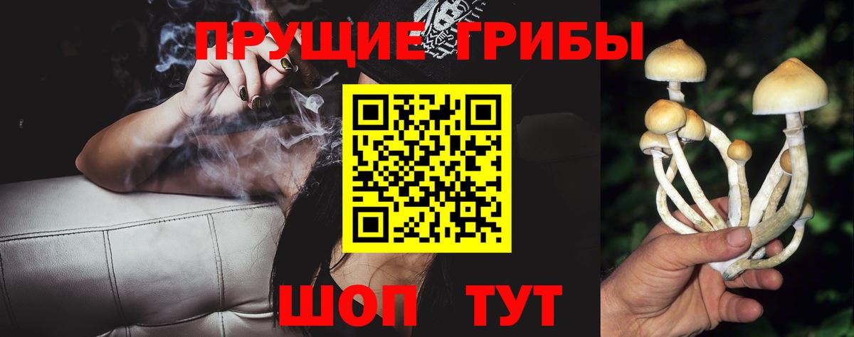 Псилоцибиновые грибы ЛСД  где можно купить   Галлюциногенные грибы MAGIC MUSHROOMS  Бор 